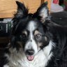 Profilbild von craig