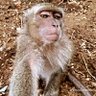 El nombre no puede estar en blanco profil fotoğrafı