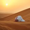 موسى الحلوه's profile picture
