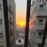 حمزة's profile picture