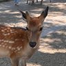 RIMKASH92's profile picture