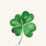 Han 🍀🪻 的头像