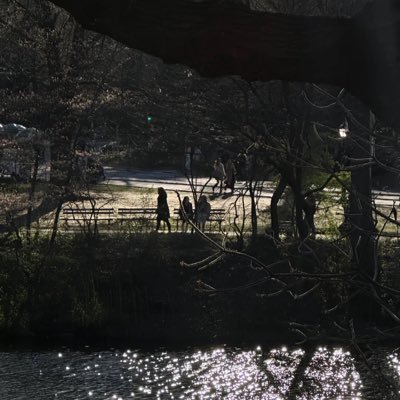 BiMasterofU's profile picture