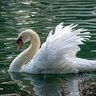 Магдалена profil fotoğrafı