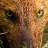Ры's profile picture