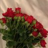 Фото профиля Miss Rose