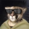 Profilbild von TheCoolMountionLion
