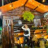 Thaynara Rangel 的头像