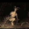 Фото профиля العضرووط
