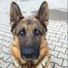 JM. profil fotoğrafı