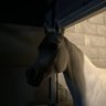 𝐀𝐁𝐃𝐔𝐋𝐑𝐀𝐇𝐌𝐍.✯|عبدالرَحمنْ's profile picture