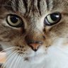 サスケ profil fotoğrafı