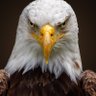 Фото профиля Chuck Thomas