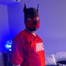 Фото профиля Pup Odin