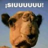 Flubber's profile picture