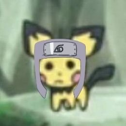 kakashi's trucknuts™ ✨🍉's profile picture