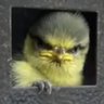 Procrastinato Obbligato's profile picture