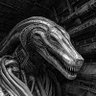 Profilbild von Crocodeal