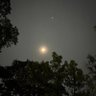 Moon 的头像