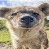 Profilbild von Yeen Critic