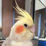 ヤマオヤジ's profile picture