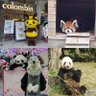 順💪🐼🐮🐝🌏️🍢's profile picture