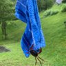 ちゃわんむし 的头像