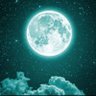 Profilbild von أنس بن محرز