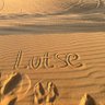 lutse 的头像