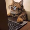 🇫🇷Le chat heureux 🇮🇱🇫🇷 🤔🤪🤪 的头像