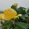 Фото профиля happyden