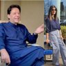 پکے کے ڈاکو تباہ دے's profile picture