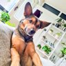 Rocky 's mommy profil fotoğrafı