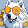 franck douard's profile picture