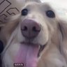 0xkyle 的头像