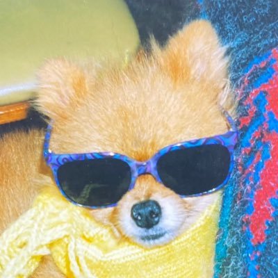 ぼっさっさ( ・᷄ὢ・᷅ )'s profile picture