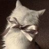 Profilbild von Jena