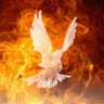 SAVED by GRACE's profile picture