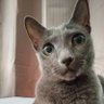 茜's profile picture
