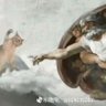 天蓝色's profile picture