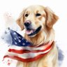 skye 🌺🇺🇸 的头像