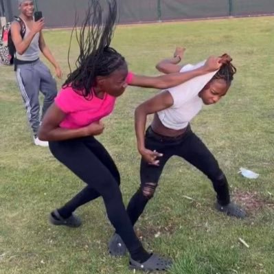 Brigas de mulheres's profile picture