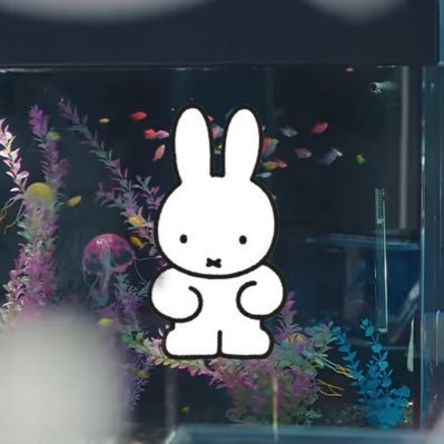 入信's profile picture