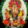 Sayal Saravanan's profile picture
