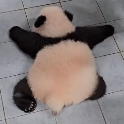 홍학's profile picture