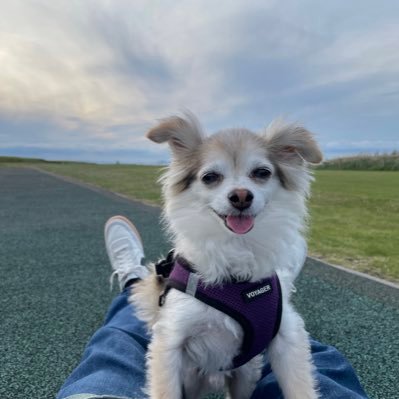 JoelMBeall's profile picture