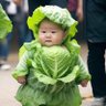 Greenbury Cactus's profile picture