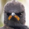 The Account Created's profile picture