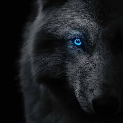 Spark00777's profile picture