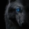 Spark's profile picture